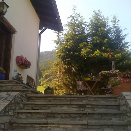 Haus Susanne Radstadt Kültér fotó